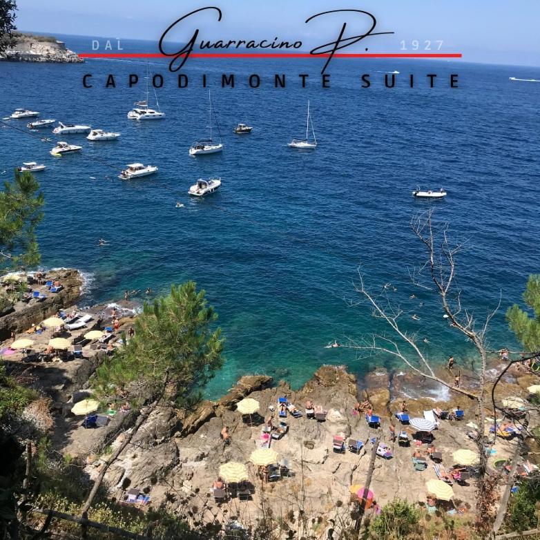 Guarracino P. Capodimonte Apartment *